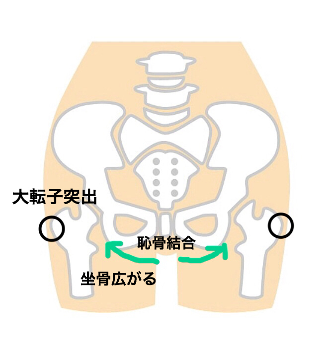 c1a5451f.JPG